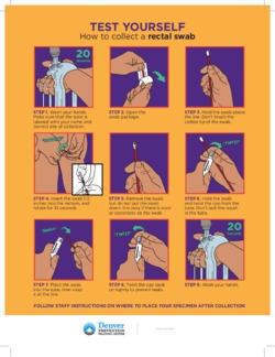 TEST YOURSELF - How to collect a rectal swab (ENGLISH)